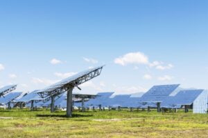 The Rise of Sustainable Living: Why More People Are Choosing an Eco-Friendly Lifestyle